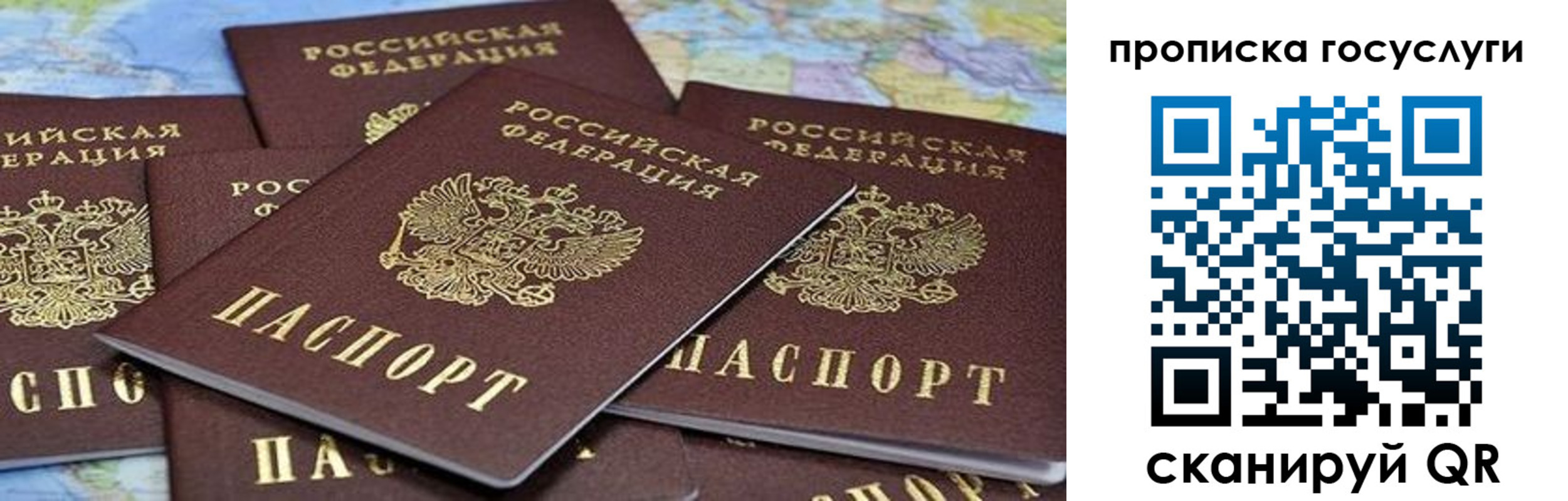 пропишу в квартире в Рязанской области